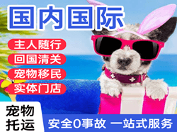 吕梁机场托运国际宠物托运 【国